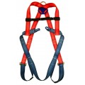 2 Point Harness